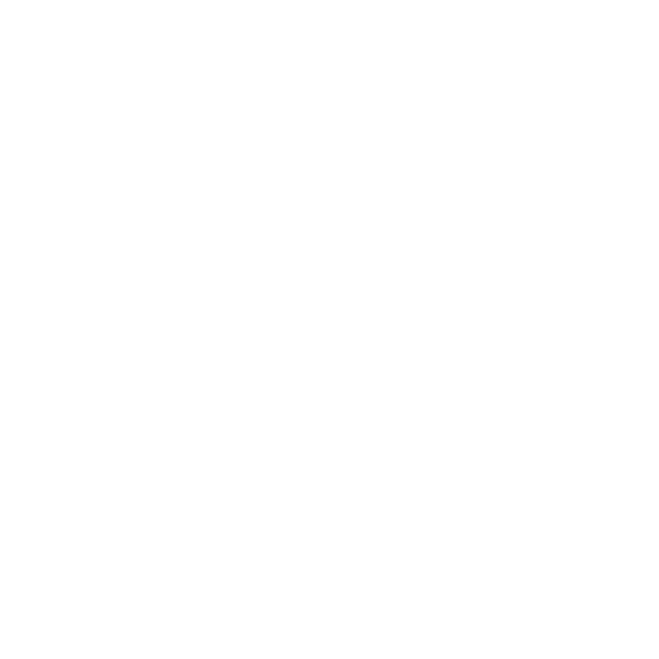 finalfiesta